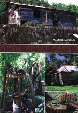 Active Image